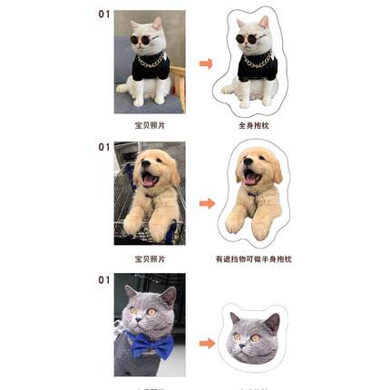 异形抱枕定制diy定做宠物枕头来图可印照片猫咪狗狗玩偶仿真动物