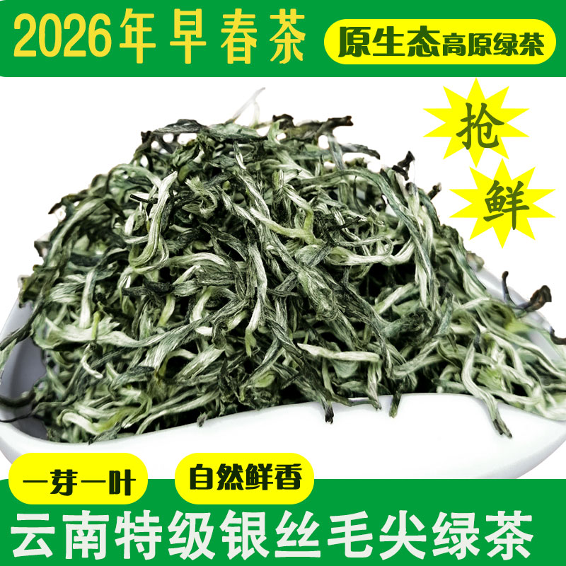 云南绿茶炒青普洱茶明前春茶