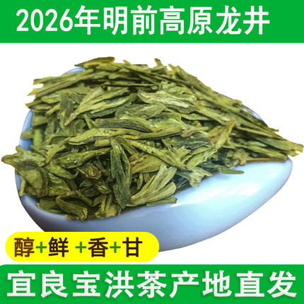 宜良宝洪茶新茶2026正宗云南龙井茶叶特级明前绿茶嫩芽浓香型散装