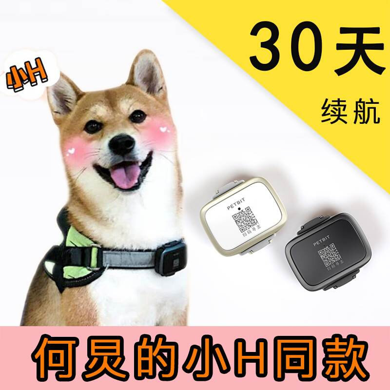 猫咪宠物狗狗定位器追踪仪无线gps项圈跟踪器陪彼智能防走丢属于什么档次？