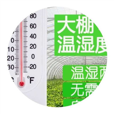 极速大棚温度计农业专用高精度种植养殖壁挂M式温室大棚内用温湿