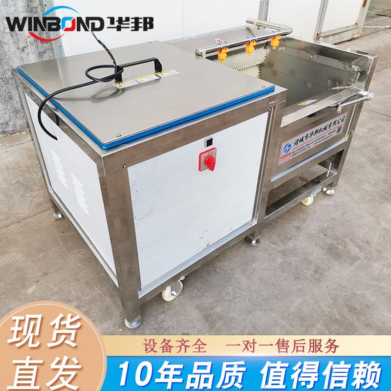 土豆去机毛商设用贝类毛刷AXW清洗设备商用山药去皮皮辊清洗备