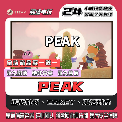 steam正版游戏PEAK peak cdk激活码单机入库全DLC永久入库包更新