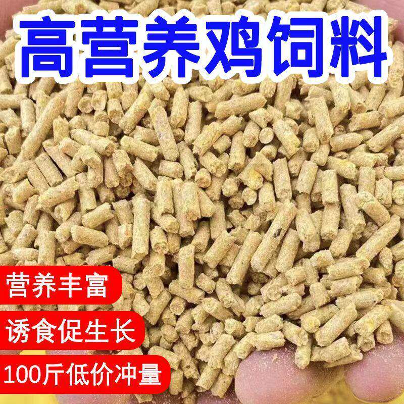 厂家直销100斤鸡饲料喂鸡