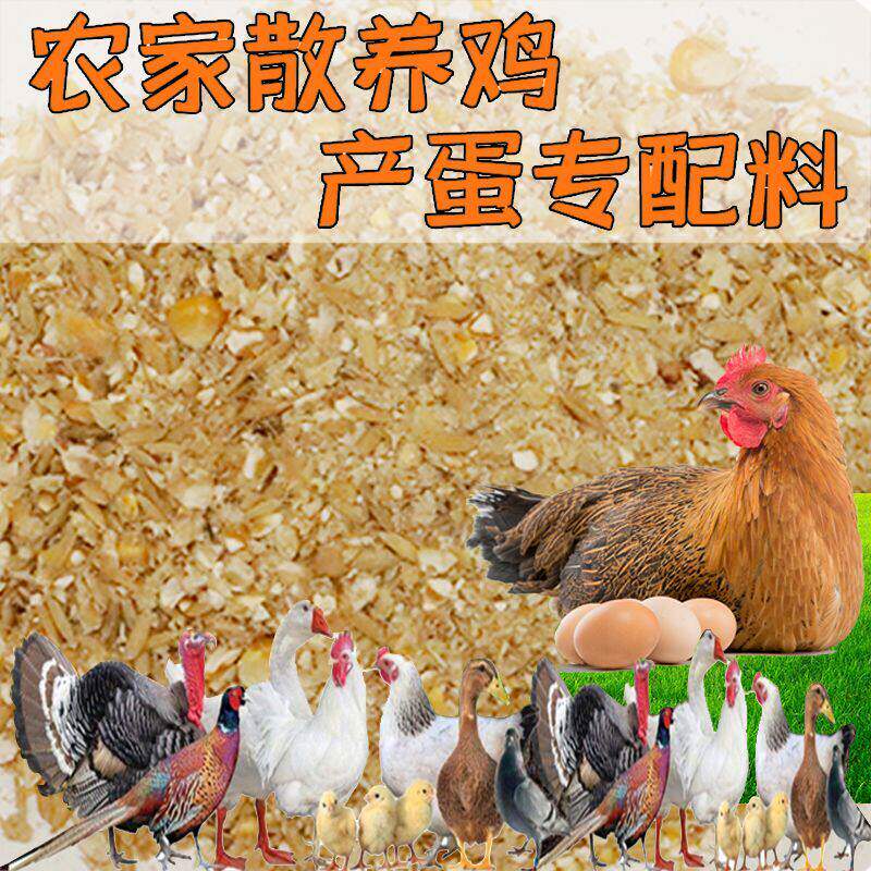 蛋鸡饲料喂鸡小鸡鸭鹅营