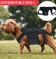 Тактическая одежда для собак Dog Back поддерживает IVDD, чтобы облегчить боль в спине, чтобы облегчить травму болезней и поддержать жилет собак