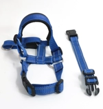 Домашнее животное снабжает регулируемые утолщенные кошачьи и собачья шея кружок Педант Рот рот рот, рот собаки, нос, рот собаки, тяга