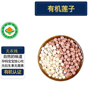 正宗洪湖有机莲子576g 有机认证 去芯红莲子白莲子无防腐剂