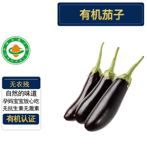 有机茄子3斤有机认证无农残