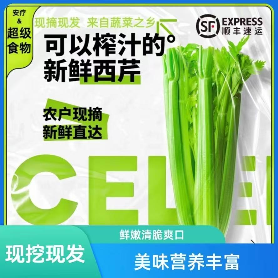 有机西芹杆5斤有机认证无农残 安疗新鲜榨汁专用不苦微甜量大优惠