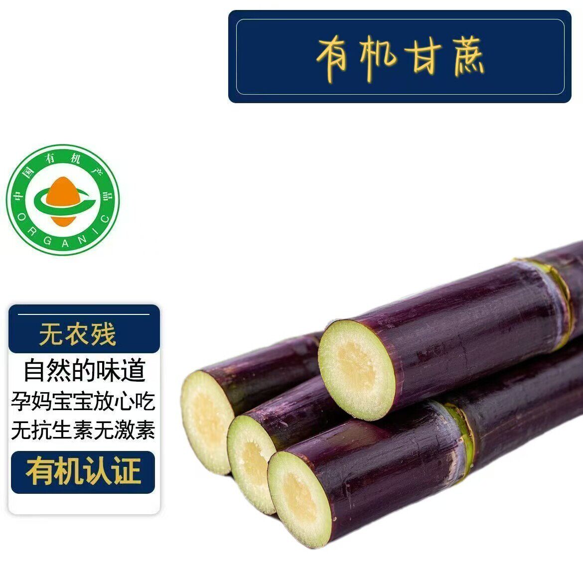 【新品】有机甘蔗 有机认证无农残 清甜多汁现摘现发宝宝孕妇放心
