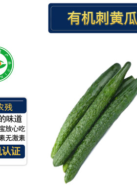 有机刺黄瓜有机认证无农残