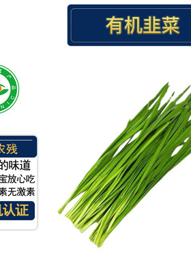 有机韭菜1斤 有机认证无农残 新鲜现摘无农药当季蔬菜安全 京东