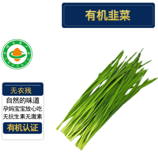 新鲜现摘无农药当季 蔬菜绿色蔬菜 有机认证无农残 有机韭菜2斤
