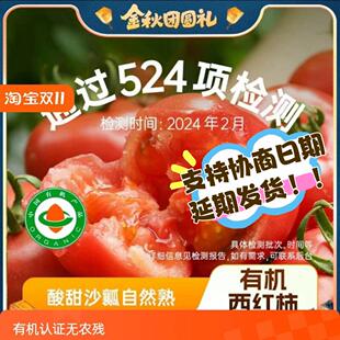 有机西红柿番茄5斤有机认证无农残 现摘先发孕妇宝宝放心京东