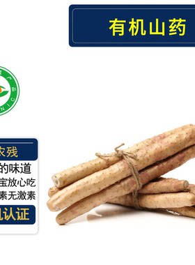 有机铁棍山药3斤有机认证无农残