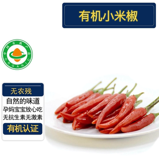 有机小米椒3斤 有机认证无农残 天然健康干辣椒朝天椒剁椒顺丰