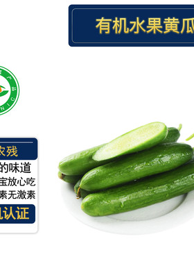 有机水果黄瓜5斤有机认证无农残