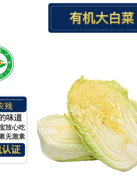 有机大白菜4斤有机认证无农残