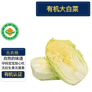 有机大白菜4斤 有机认证无农残 现摘先发脆甜健康孕妇宝宝 顺丰