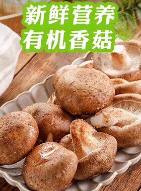 有机鲜香菇2斤/4斤装有机认证新鲜蘑菇营养美味食用蘑菇炖
