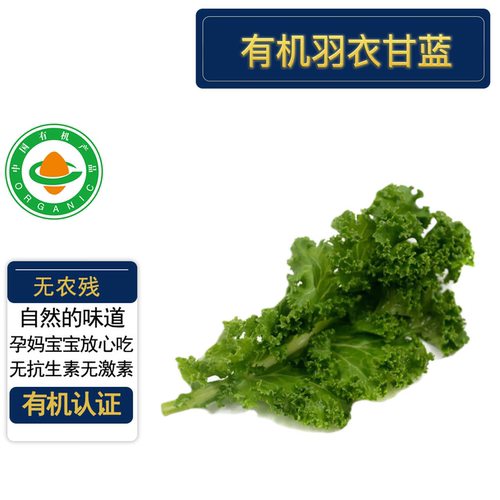 有机羽衣甘蓝4斤现摘现发无农残