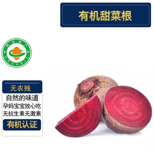 安疗有机甜菜根3/4.5斤装 有机认证无农残 露天榨汁凉拌皆可顺丰