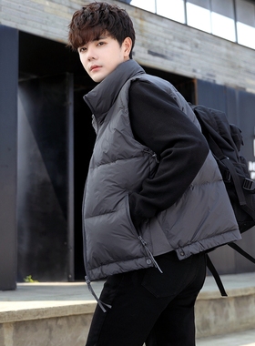 羽绒马甲男士立领2024新款秋冬灰鸭绒潮牌加厚马夹男坎肩背心外套