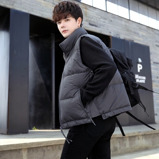 羽绒马甲男士 秋冬灰鸭绒潮牌加厚马夹男坎肩背心外套 立领2024新款