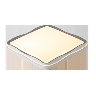 客厅全光谱主灯护眼吸顶灯阳台过道现代简约大气主卧房间灯中山灯