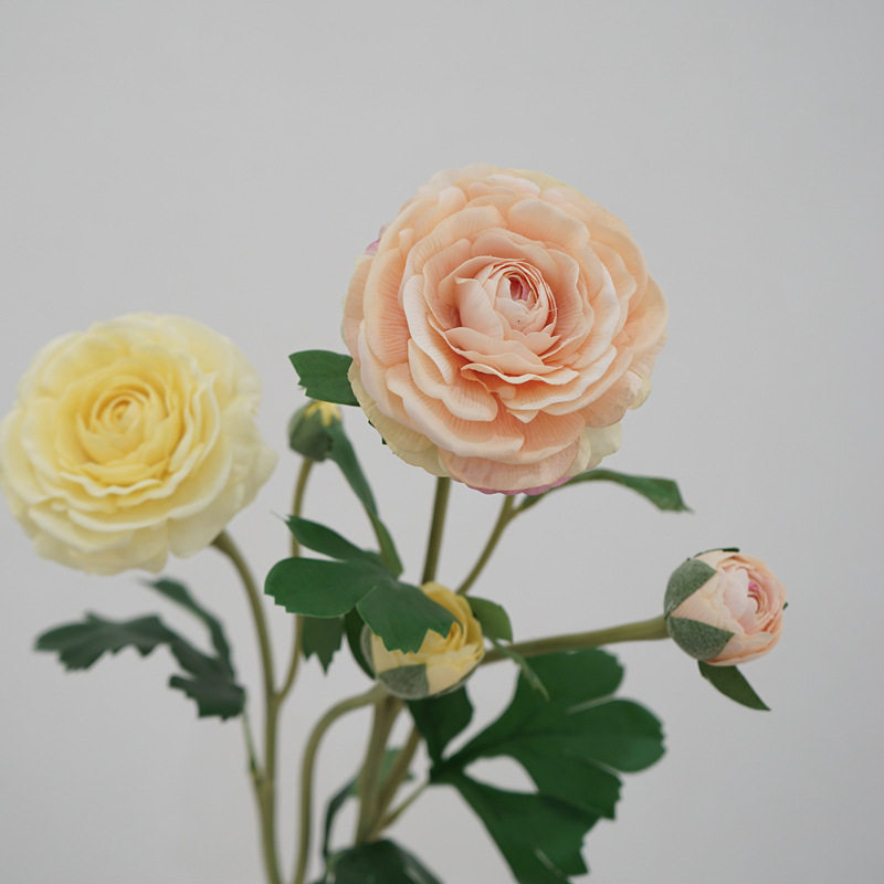 高品质手感保湿露莲花清