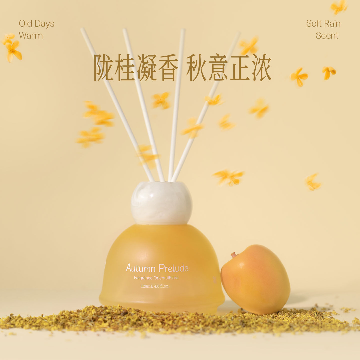 百秘秋日序章120ML圆形无