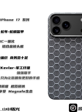 MASL山中曙光™ 适用于苹果iPhone17ProMax手壳凯夫拉轻薄磨砂手感商务风iPhone Air磁吸芳纶纤维蛇鳞盔甲