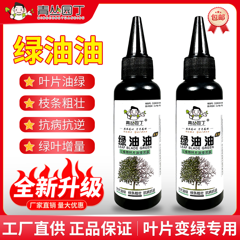 青丛园丁治黄叶治落叶绿油油