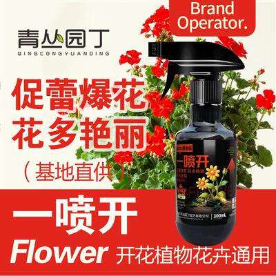 青丛园丁促开花花朵艳丽一喷开