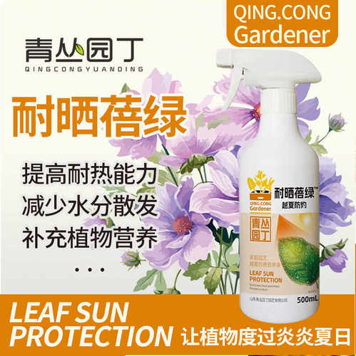 绿植物通用耐晒防高温青丛园丁
