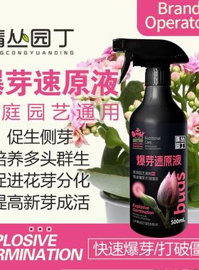 青丛园丁爆芽速原液多芽促芽催芽分化叶插花植物多肉绿植通用型