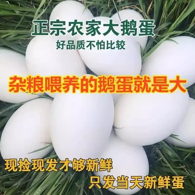 12枚装120-150克双黄大鹅蛋农家杂粮散养新鲜当天现捡现发生鹅蛋