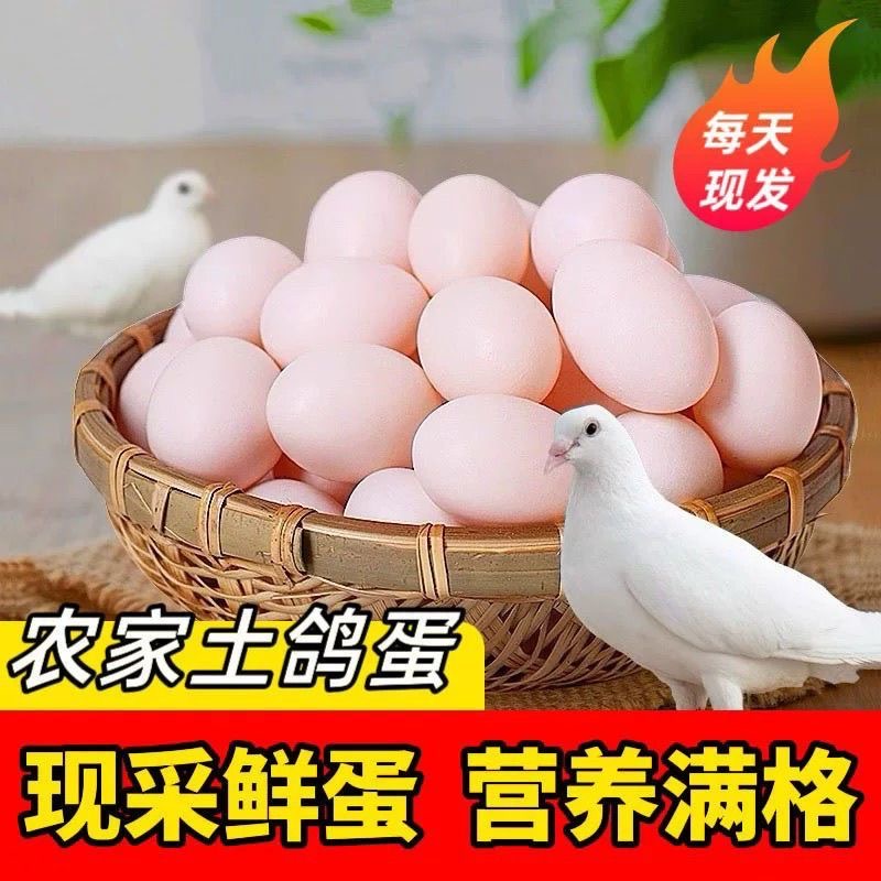 60枚农家散养新鲜鸽子蛋孕妈宝宝辅食杂粮喂养白鸽蛋现捡纯粮鸽蛋