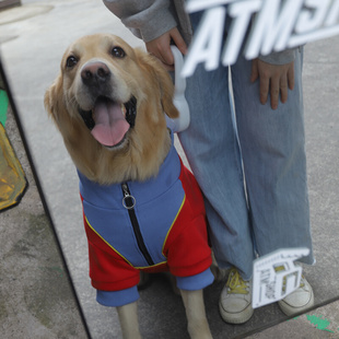 狗狗衣服秋装 宠物毛衣春秋款 金毛中型大型犬冬卫衣拉布拉多大狗