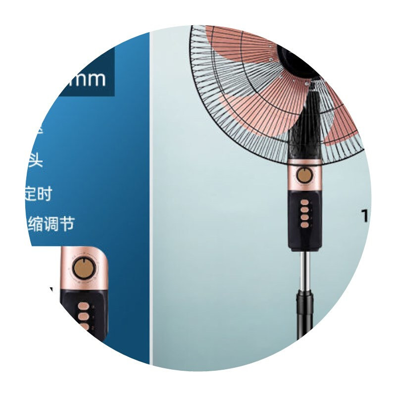 电风扇家用落地扇大风力节v能立式摇头办公室宿舍遥控静音电风扇