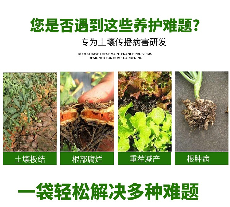 包邮  根腐宁 1千克 枯草芽孢杆菌 地衣芽孢杆菌  微生物菌肥