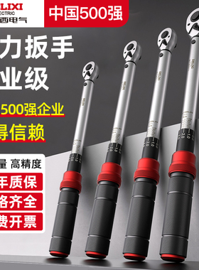 德力西电气扭力扳手高精度扭矩力矩公斤扳手火花塞工业级汽修扳手