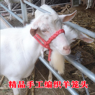 纯手工编织羊笼头套 羊项圈栓羊龙头龙套 羊嘴笼 拴羊笼头套结实