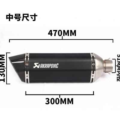 TMAX530 GSX250赛艇400黄龙600 NINJA400 R3摩托改装跑车音排气管