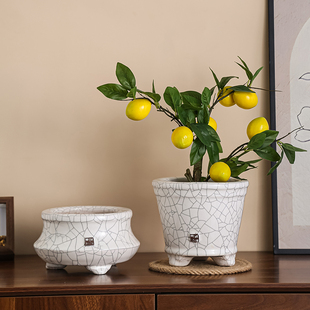 风骨冰裂釉陶瓷花盆小叶紫檀高档造景盆高颜值小绿植盆送塑料托盘