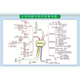 中小学数学思维导语文初中生物物理英语海报化学物理思维导图墙贴