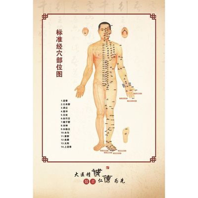 标准经穴部位图海报展板足部反射区示意图手部反射区健康疗法墙贴