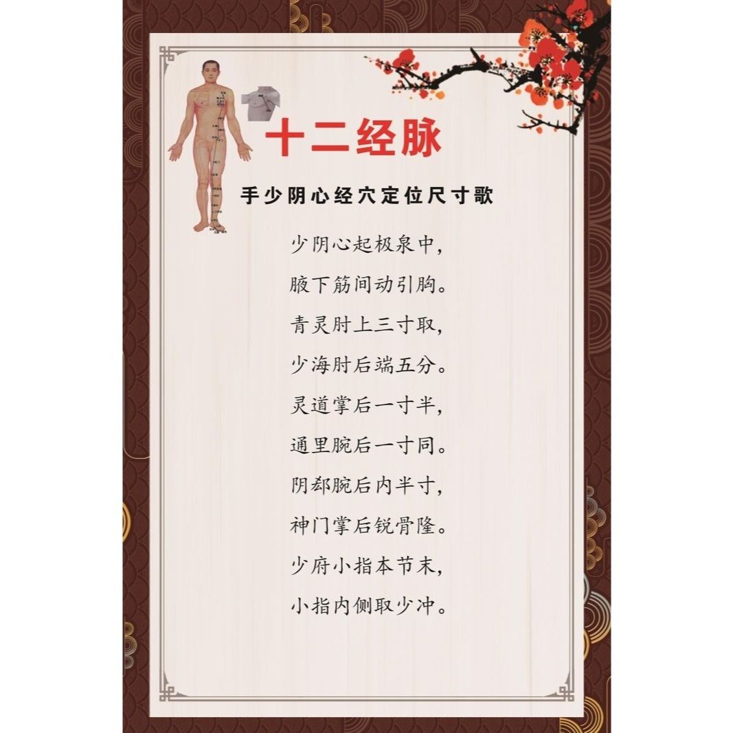 十二经脉手少阴心经穴定位尺寸歌海报十二经脉手少阴心经穴穴名歌