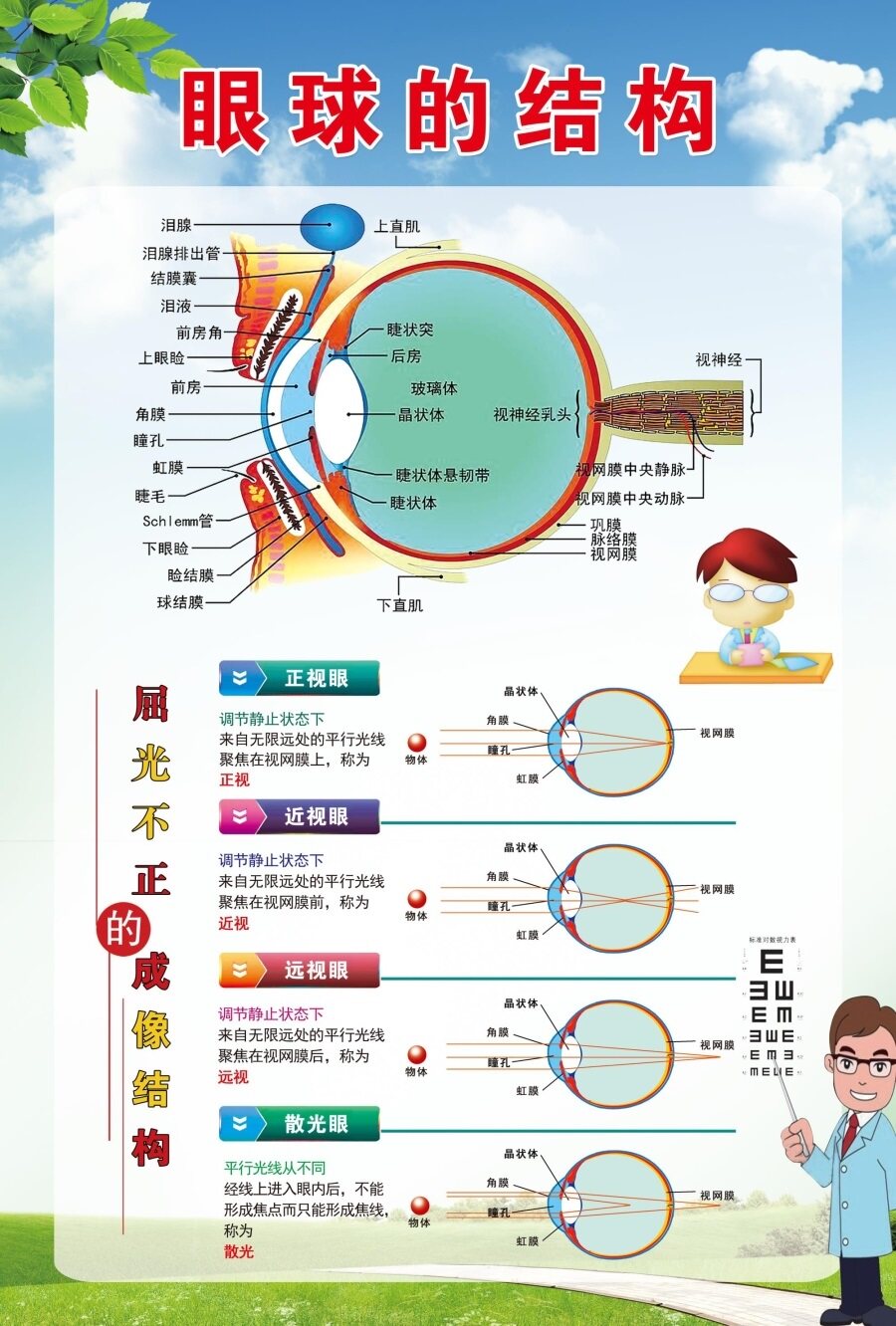 眼球的结构海报验光流程图什么是弱视什么是散光有意义的近视控制